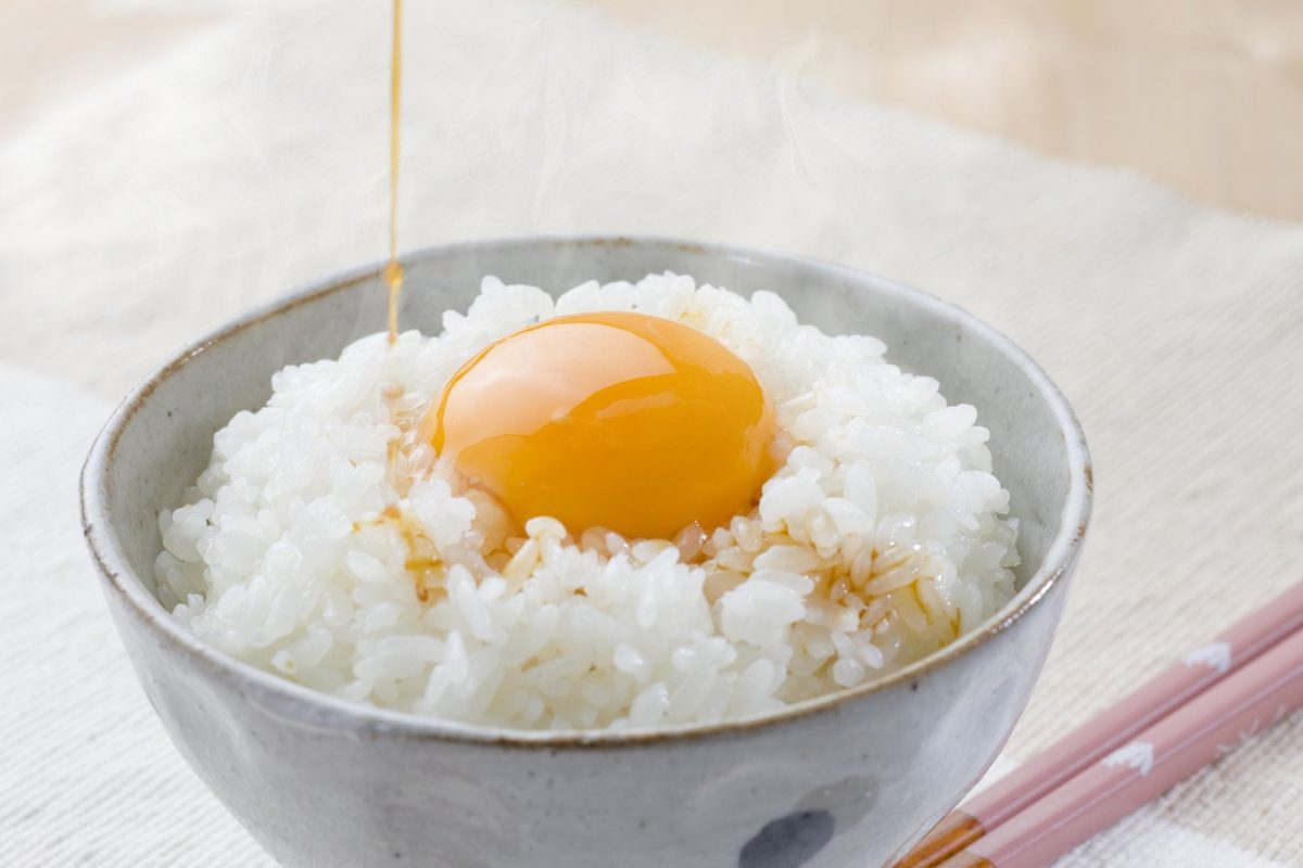 高品質の健康的な主食