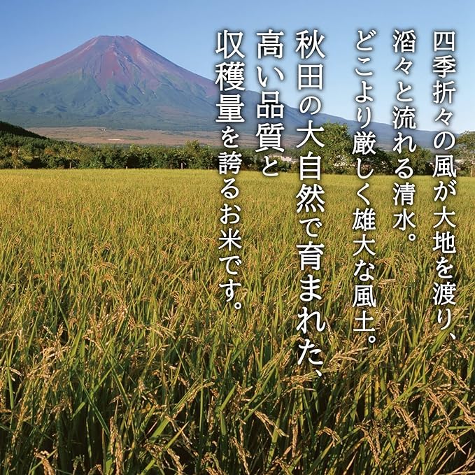 高品質の健康的な主食