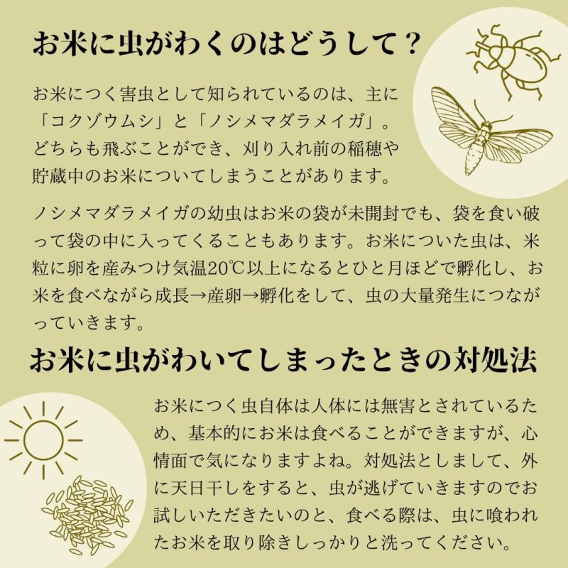 高品質の健康的な主食