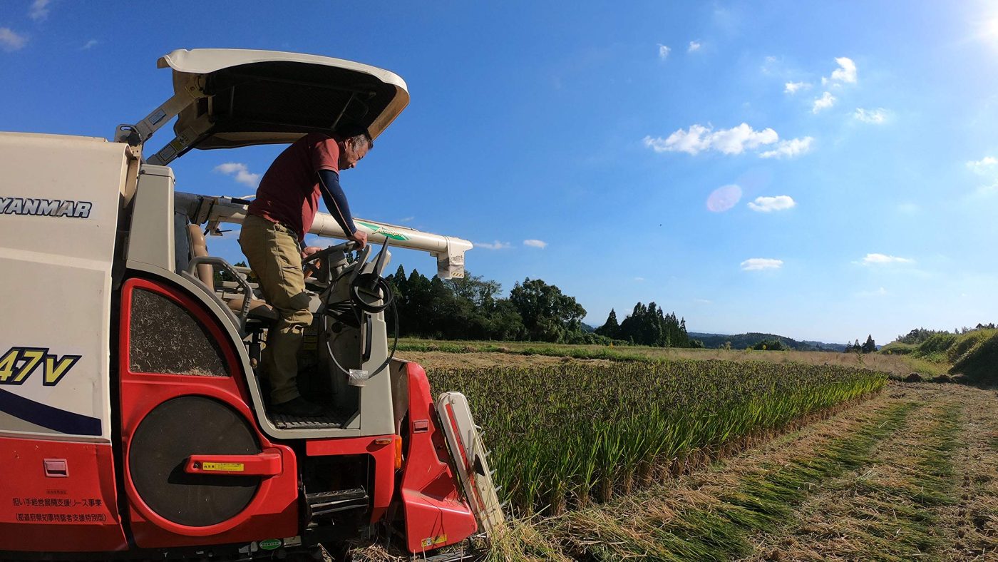 高品質の健康的な主食