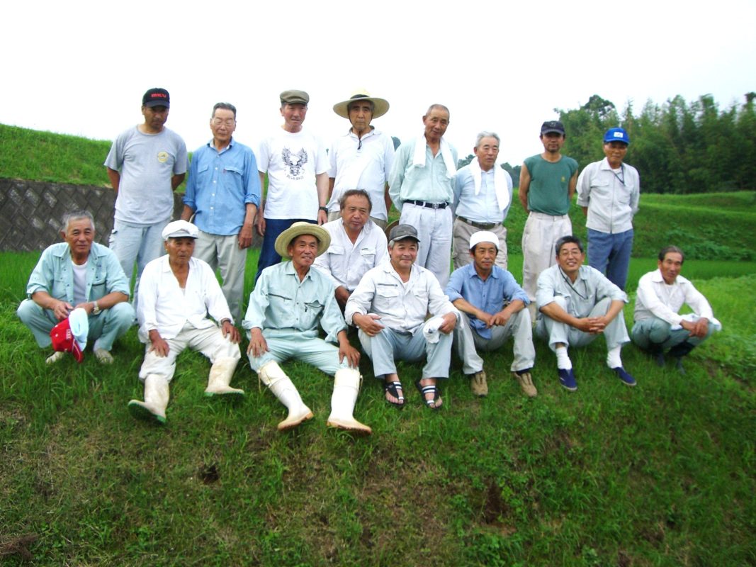 高品質の健康的な主食
