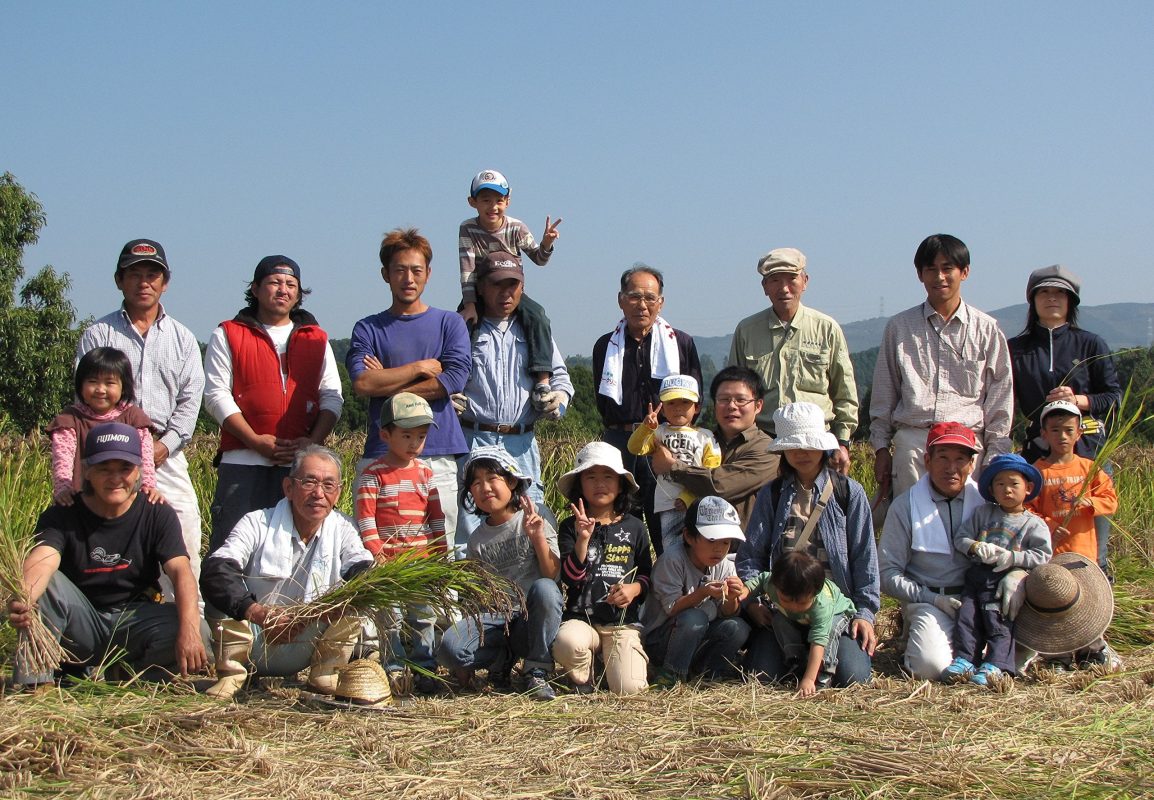 高品質の健康的な主食